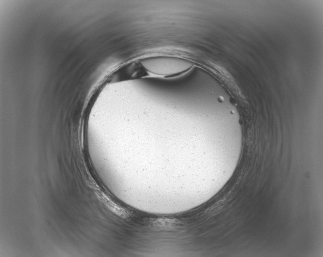 X0000078831180200612041805