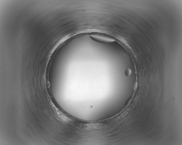 X0000078831181200612041805