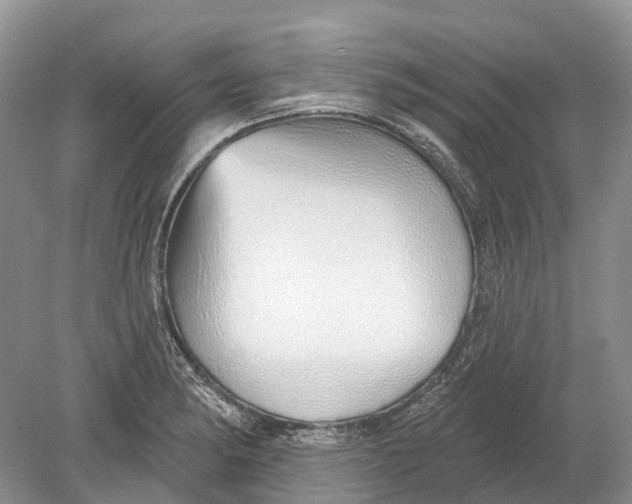 X0000078831182200612041805