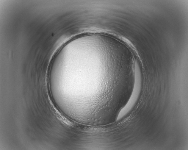 X0000078831183200612041805