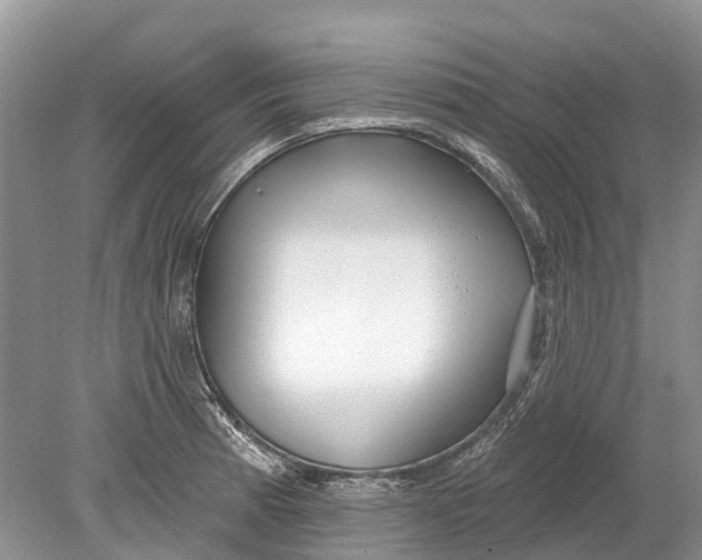 X0000078831185200612041805