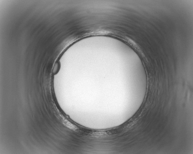 X0000078831186200612041805