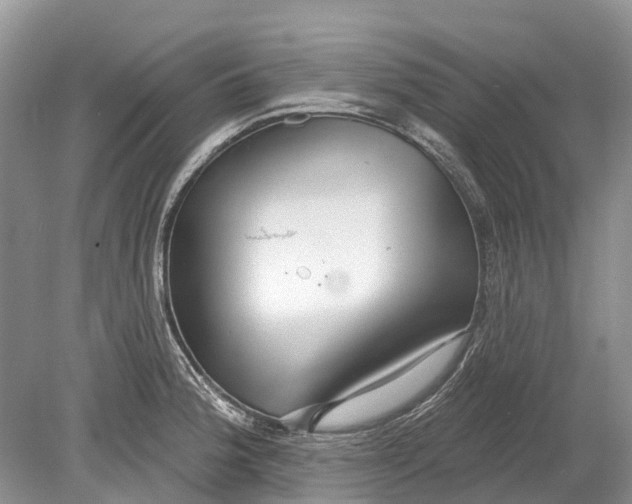 X0000078831188200612041805