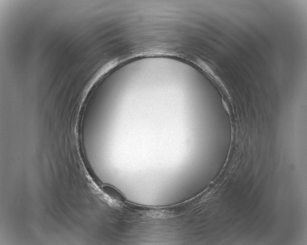 X0000078831189200612041805