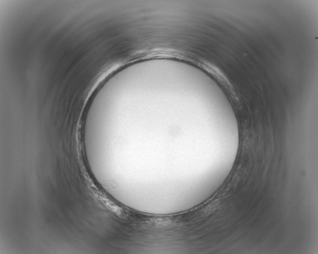 X0000078831190200612041805