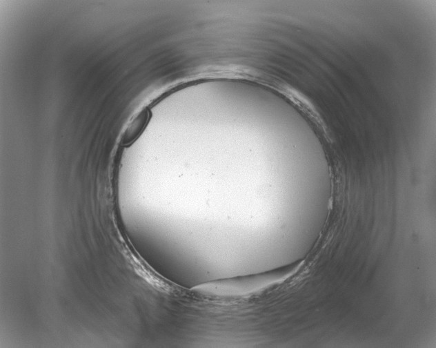 X0000078831192200612041805