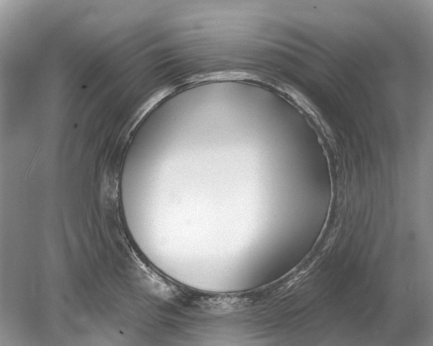 X0000078831193200612041805