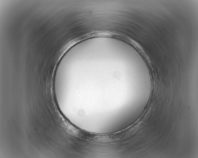 X0000078831194200612041805