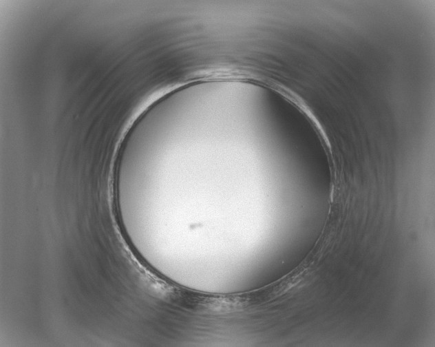 X0000078831195200612041805