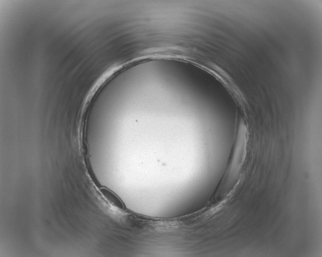 X0000078831196200612041805