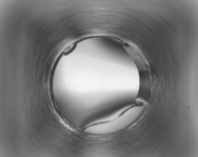 X0000078831197200612041805