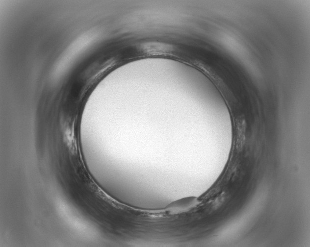 X0000078831198200612041805