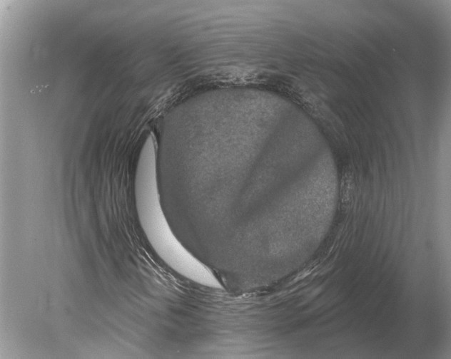 X0000078831202200612041804