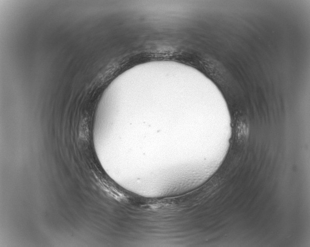 X0000078831204200612041804