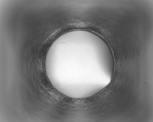 X0000078831205200612041804