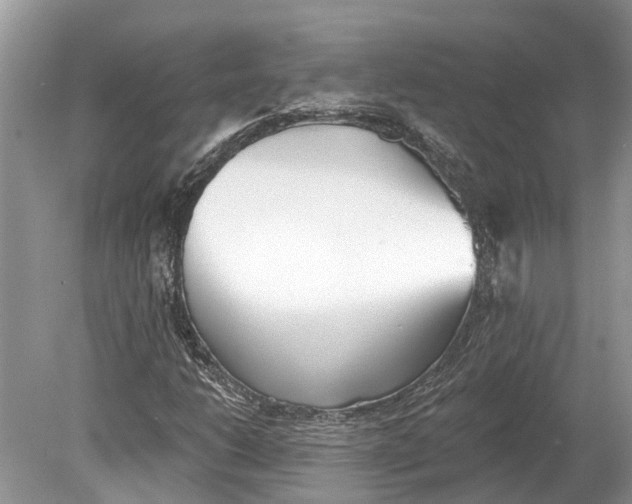 X0000078831206200612041804