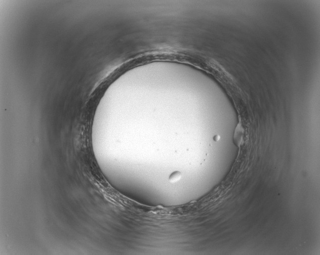 X0000078831208200612041804