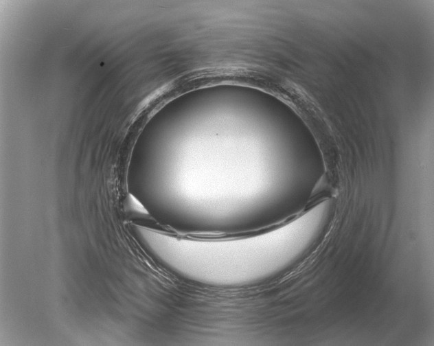 X0000078831210200612041804