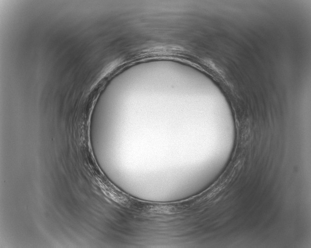 X0000078831211200612041804