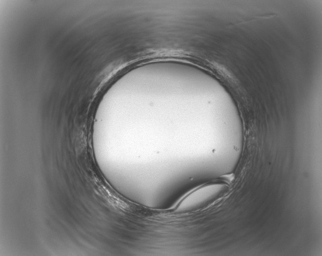 X0000078831212200612041804