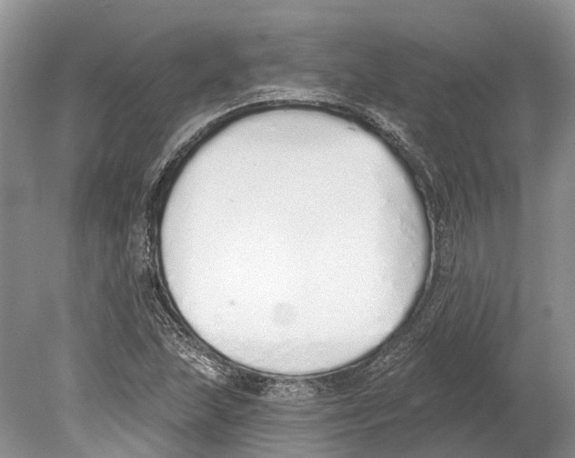 X0000078831215200612041804