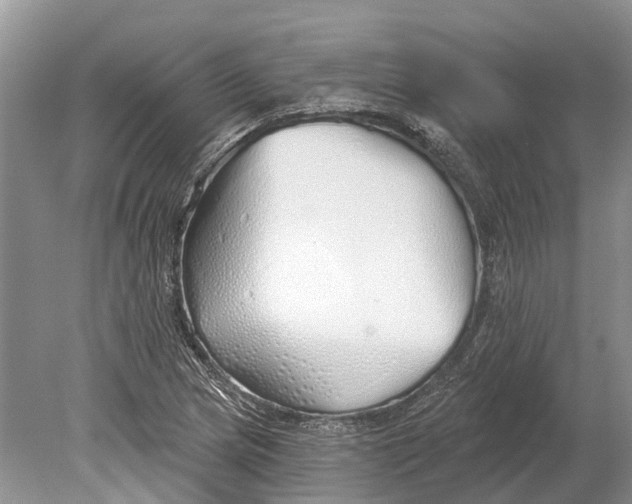 X0000078831217200612041804