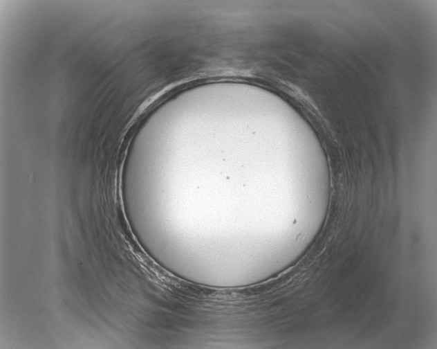 X0000078831220200612041804