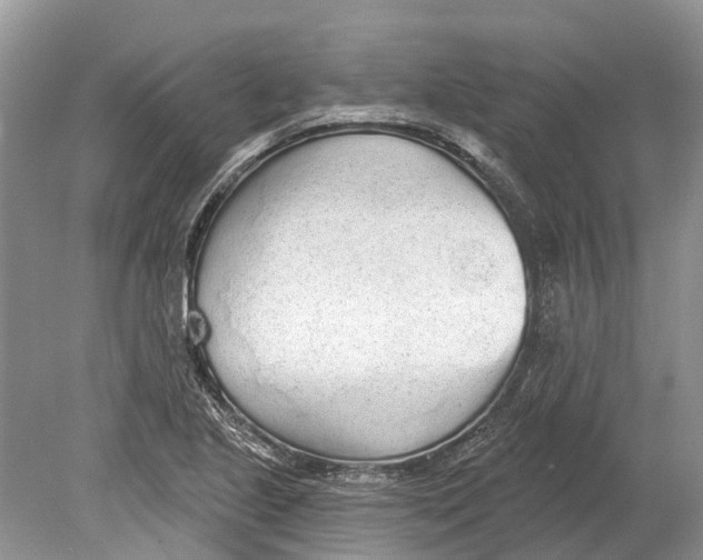 X0000078831221200612041804