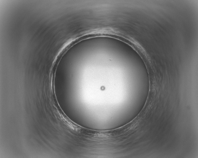 X0000078831224200612041804