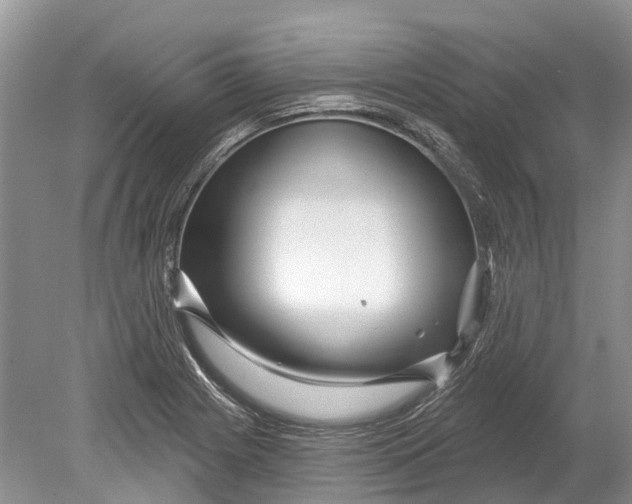 X0000078831225200612041804