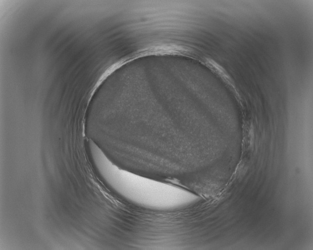 X0000078831226200612041804