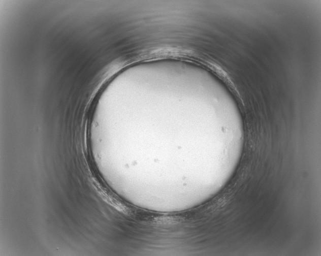 X0000078831227200612041804