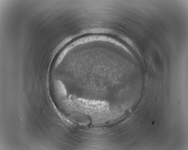 X0000078831229200612041804