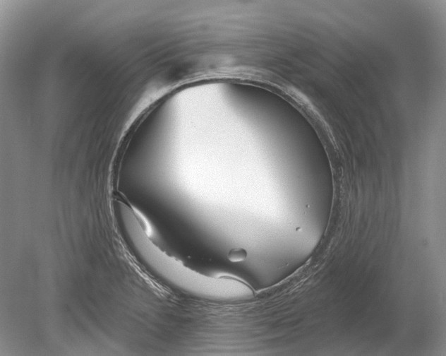 X0000078831230200612041805