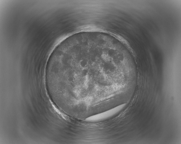 X0000078831231200612041805