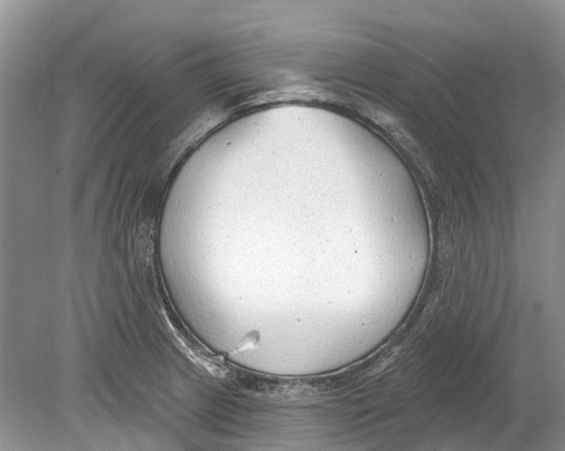 X0000078831233200612041805