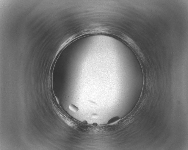 X0000078831234200612041805