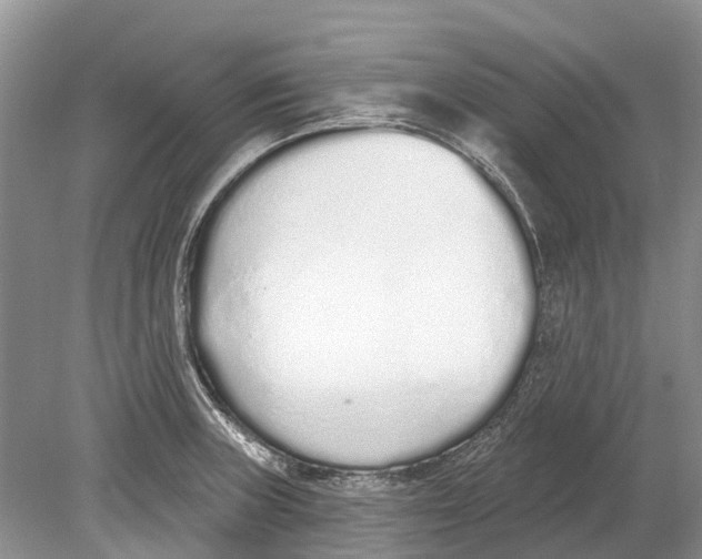 X0000078831235200612041805