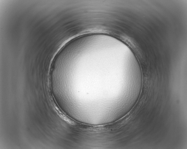 X0000078831236200612041805