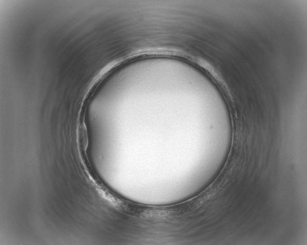 X0000078831237200612041805