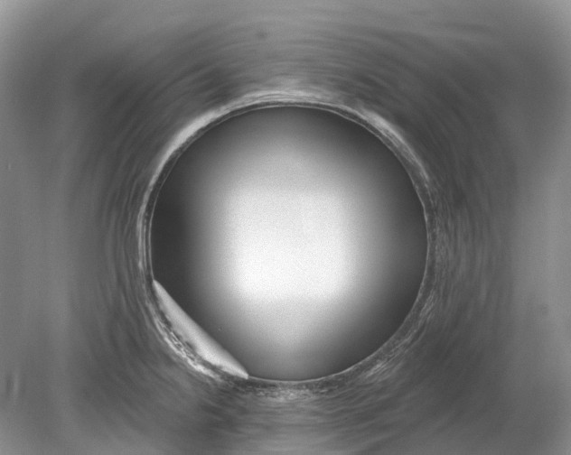 X0000078831238200612041805