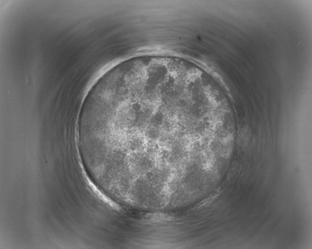 X0000078831239200612041805