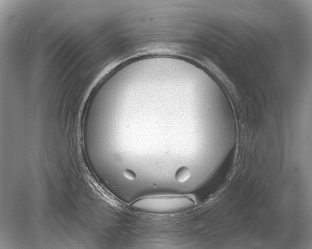 X0000078831240200612041805