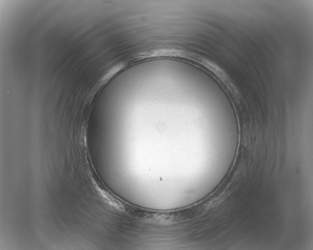 X0000078831241200612041805