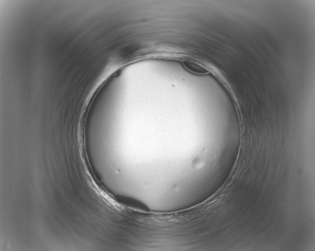 X0000078831243200612041805