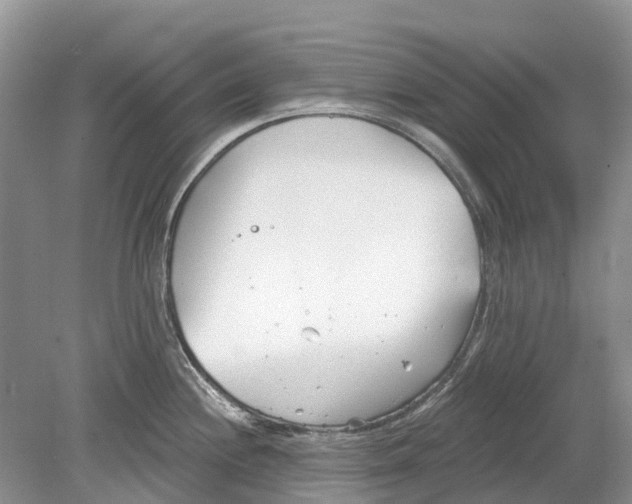 X0000078831244200612041805