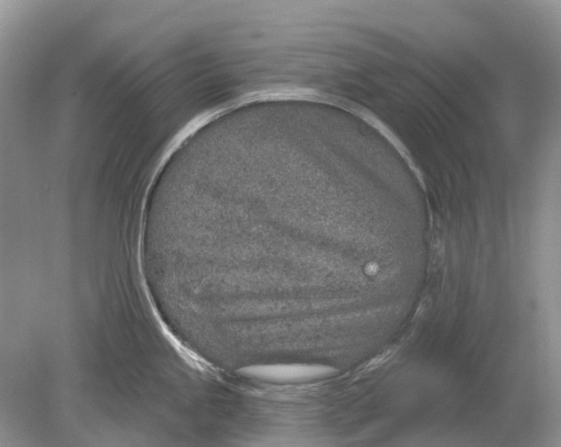 X0000078831245200612041805