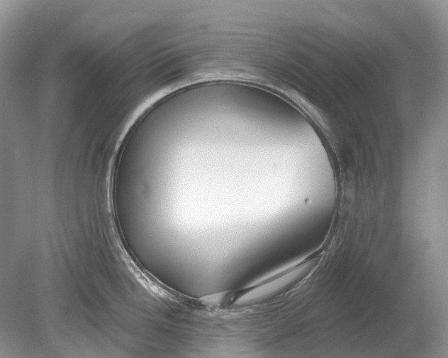 X0000078831246200612041805