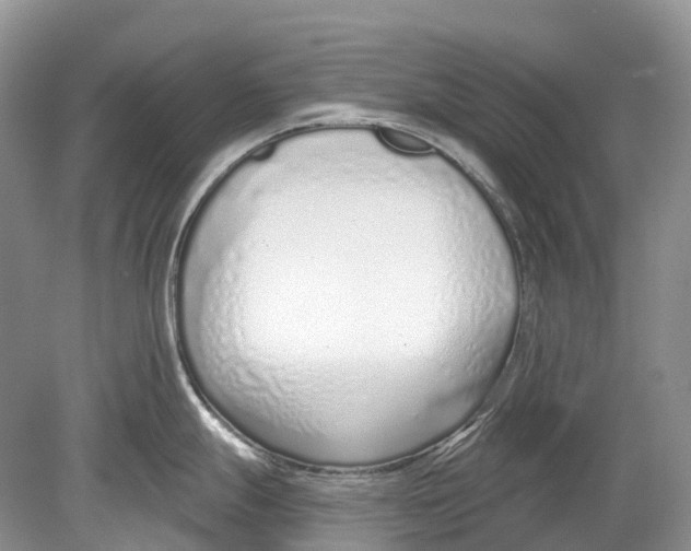 X0000078831247200612041805