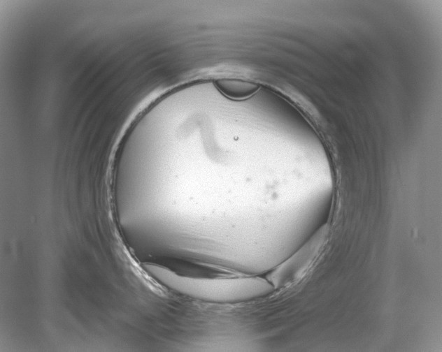 X0000078831248200612041805